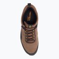 Vyriški trekingo batai Tecnica Plasma GTX brown TE11248300004 6