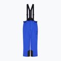 Vyriškos slidinėjimo kelnės EA7 Emporio Armani Pure Protectum 7 new royal 6
