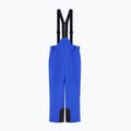 Vyriškos slidinėjimo kelnės EA7 Emporio Armani Pure Protectum 7 new royal 7