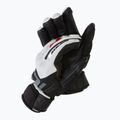 Dainese vyriškos slidinėjimo pirštinės Hp lily white/stretch limo