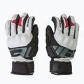 Dainese vyriškos slidinėjimo pirštinės Hp lily white/stretch limo 3