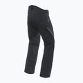 Vyriškos slidinėjimo kelnės Dainese Hp Talus black concept 6