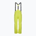 Vyriškos slidinėjimo kelnės Dainese Hp Ridge lemon yellow 2