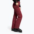 Moteriškos slidinėjimo kelnės Dainese Hp Scree jam violet violet 3