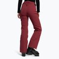 Moteriškos slidinėjimo kelnės Dainese Hp Scree jam violet violet 4