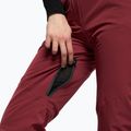Moteriškos slidinėjimo kelnės Dainese Hp Scree jam violet violet 6