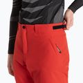 Vyriškos slidinėjimo kelnės Dainese Dermizax Ev high/risk/red 4