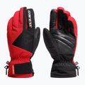 Slidinėjimo pirštinės Dainese Sport racing red/stretch limo