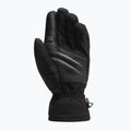 Slidinėjimo pirštinės Dainese Sport anthracite/stretch limo 2
