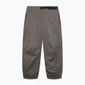 Vyriškos slidinėjimo kelnės Oakley Wintertide Softshell granite gray 9