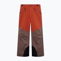 Vyriškos slidinėjimo kelnės Oakley Canopy Pro Insulated Dark Umber/Flame Red 6