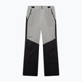 Vyriškos slidinėjimo kelnės Oakley Canopy Pro Insulated Pitch Black/Cement 6