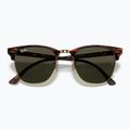 Akiniai nuo saulės Ray-Ban Clubmaster Classic tortoiseshell/gold 3