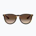 Akiniai nuo saulės Ray-Ban Erika Classic matt havana/brown 2