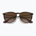 Akiniai nuo saulės Ray-Ban Erika Classic matt havana/brown 3