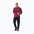 Vyriškas džemperis Everlast Neutrals Crewneck bordeaux 2