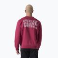 Vyriškas džemperis Everlast Neutrals Crewneck bordeaux 3