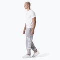 Vyriškos treniruočių kelnės Everlast Exclusive grey/melange 2