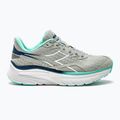 Moteriški bėgimo bateliai Diadora Equipe Nucleo silver dd/white/aruba blue 11