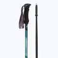Žygio lazdos  Fizan Compact water green 3