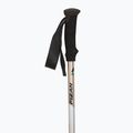 Žygio lazdos  Fizan Trek Pro beige/black 2
