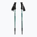 Žygio lazdos  Fizan Trek Pro dark green 5