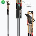 Šiaurietiško ėjimo lazdos Fizan Carbon Pro Impulse grey 6