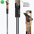 Šiaurietiško ėjimo lazdos Fizan Tekno Impulse grey 6