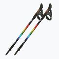 Šiaurietiško ėjimo lazdos Fizan Speed Junior rainbow