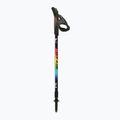 Šiaurietiško ėjimo lazdos Fizan Speed Junior rainbow 2