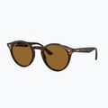 Akiniai nuo saulės Ray-Ban RB2180 light havana/brown polarized 4