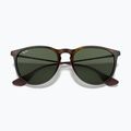 Akiniai nuo saulės Ray-Ban Erika Classic light havana/green g-15 3