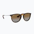 Akiniai nuo saulės Ray-Ban Erika Classic light havana/brown polarized