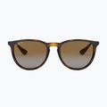 Akiniai nuo saulės Ray-Ban Erika Classic light havana/brown polarized 2