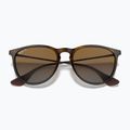 Akiniai nuo saulės Ray-Ban Erika Classic light havana/brown polarized 3