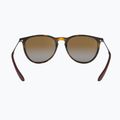 Akiniai nuo saulės Ray-Ban Erika Classic light havana/brown polarized 5
