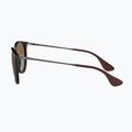 Akiniai nuo saulės Ray-Ban Erika Classic light havana/brown polarized 7