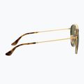 Akiniai nuo saulės Ray-Ban Round Double Bridge arista gold/green g-15 7