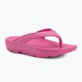 Moteriškos šlepetės per pirštą Ellesse Aletha fuxia