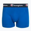Vyriškos trumpikės Champion Trunk Knit royal /blue/navy 3