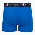 Vyriškos trumpikės Champion Trunk Knit royal /blue/navy 4
