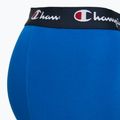 Vyriškos trumpikės Champion Trunk Knit royal /blue/navy 5
