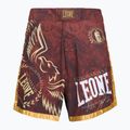 MMA šortai LEONE 1947 Legionarivs II bordeaux 5