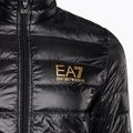 Vyriška striukė EA7 Emporio Armani Train Core ID Down Light black/gold logo 8
