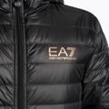 Vyriška striukė EA7 Emporio Armani Train Core ID Down Light Hoodie black/gold logo 3