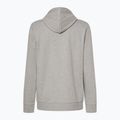 Vyriškas džemperis Oakley New Ellipse Hoodie Sweatshirt new granite heather 2