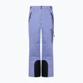 Vyriškos slidinėjimo kelnės Oakley Unbound Gore-Tex Shell Pant 2.0 new lilac 7