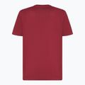 Vyriški marškinėliai Oakley Bark Ellipse Tee iron red 2