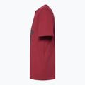 Vyriški marškinėliai Oakley Bark Ellipse Tee iron red 3