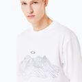 Vyriški marškinėliai Oakley Wired Mtn Scape Tee white 5